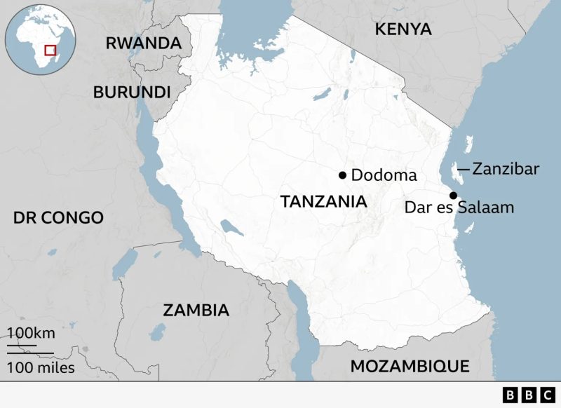 Hundreds feared dead in Tanzania crackdown on election protests