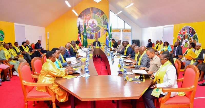 UDA hopes for orderly 2027 nominations with new aspirants forum