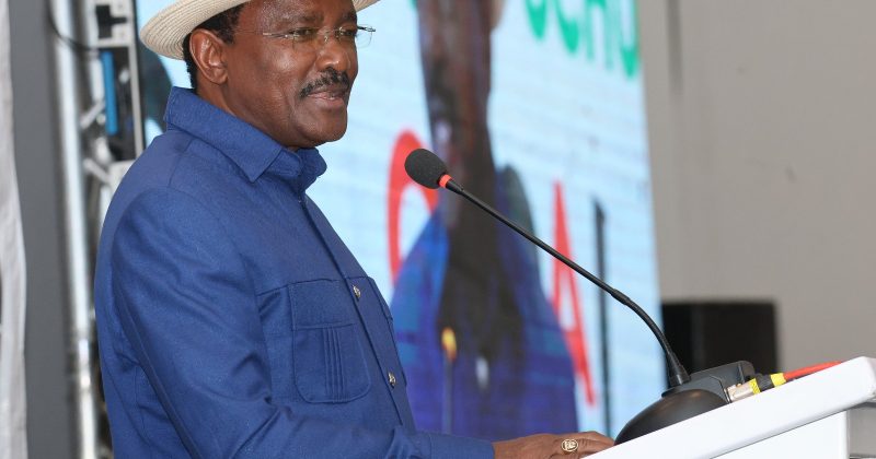 Kalonzo: I’ll Use Relationship With Xi to Renegotiate Kenya’s Debt