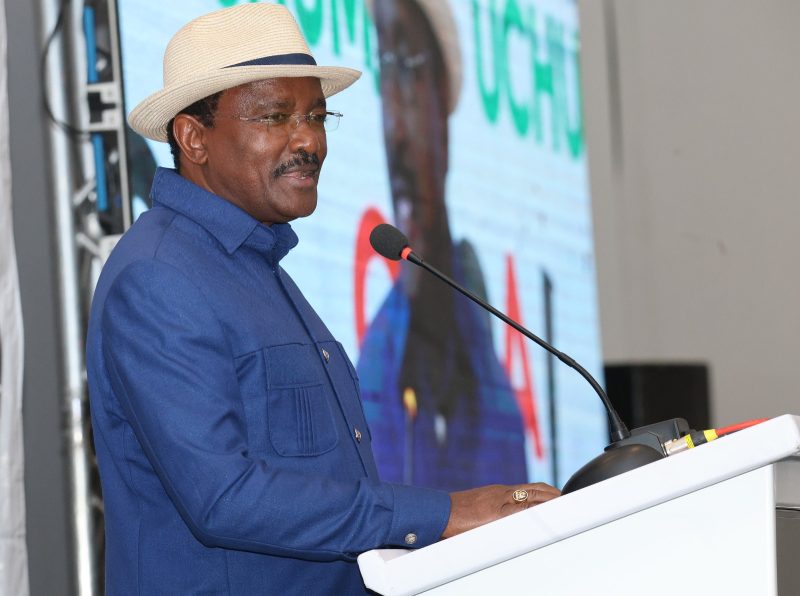 Kalonzo Blames Govt Over Deadly Tseikuru Bandit Attack, Demands Answers
