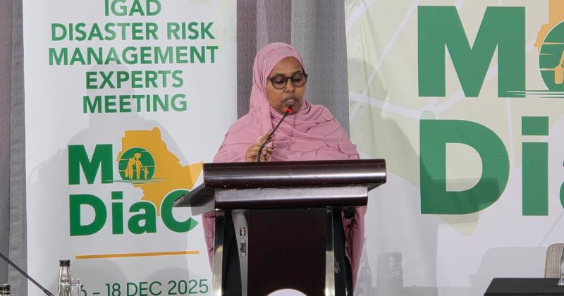 Climate funding falling short for East Africa’s vulnerable communities, IGAD warns