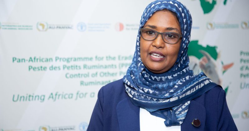 Hope for Pastoralists as Africa Intensifies Fight Against Livestock Killer