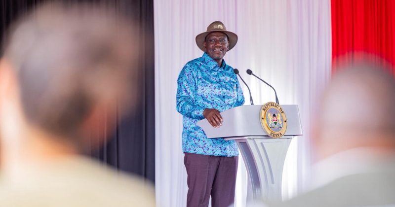 Ruto: New Tsavo Rhino Sanctuary to Attract High-Paying Tourists, Fund Wildlife Protection