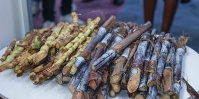 Manufacturers challenge 433pc rise in industrial sugar excise duty