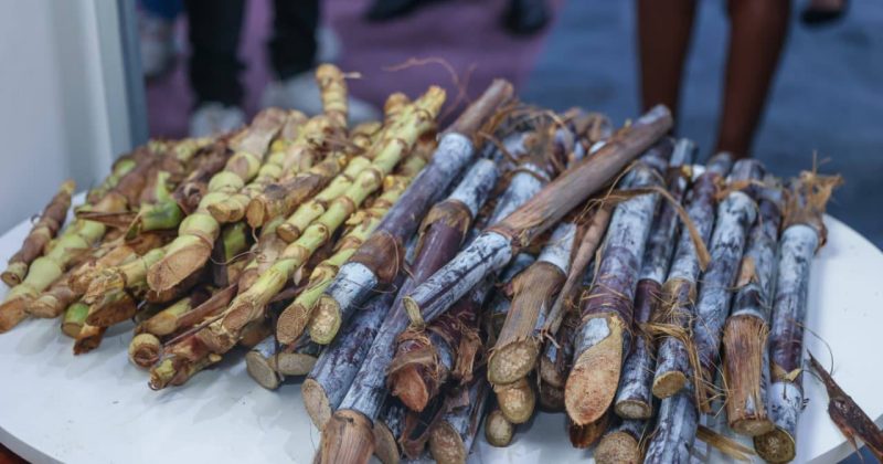 Kagwe Unveils 30-Year Sugar Lease Terms, Assures Full State Reversion