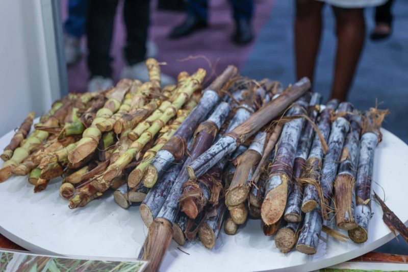 Kagwe Unveils 30-Year Sugar Lease Terms, Assures Full State Reversion
