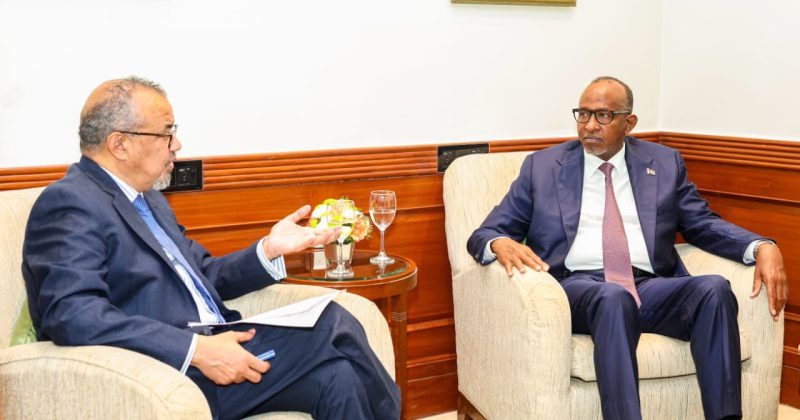 Duale calls for continued WHO support in medicines and vaccine regulation