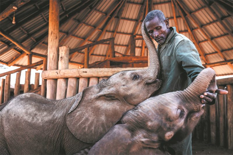 Samburu’s ‘Special Five’ and the cultural soul of Northern Kenya