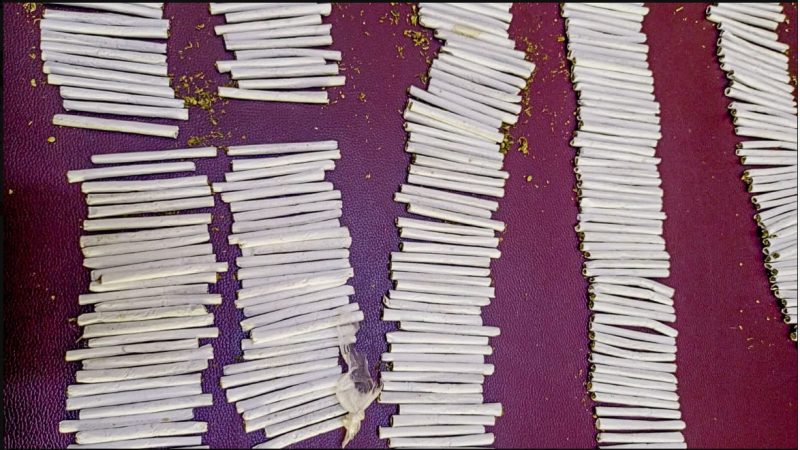 Garissa University student arrested with 650 rolls of bhang in hostel raid