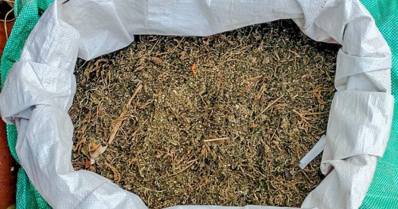 2 arrested as Kilifi officers recover large cannabis consignment