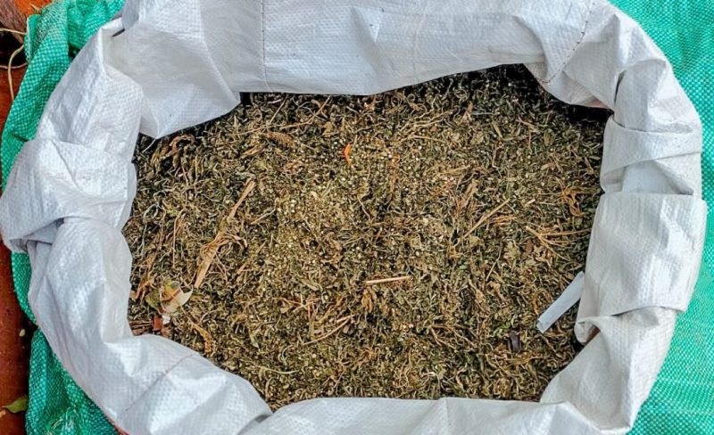 2 arrested as Kilifi officers recover large cannabis consignment