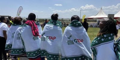 Green Party urges govt action to save Kenya’s tea sector, reopen Iran market