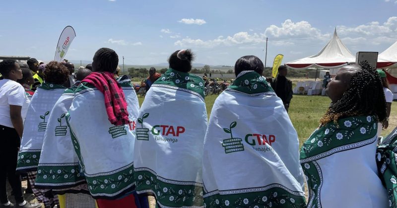 Green Party urges govt action to save Kenya’s tea sector, reopen Iran market