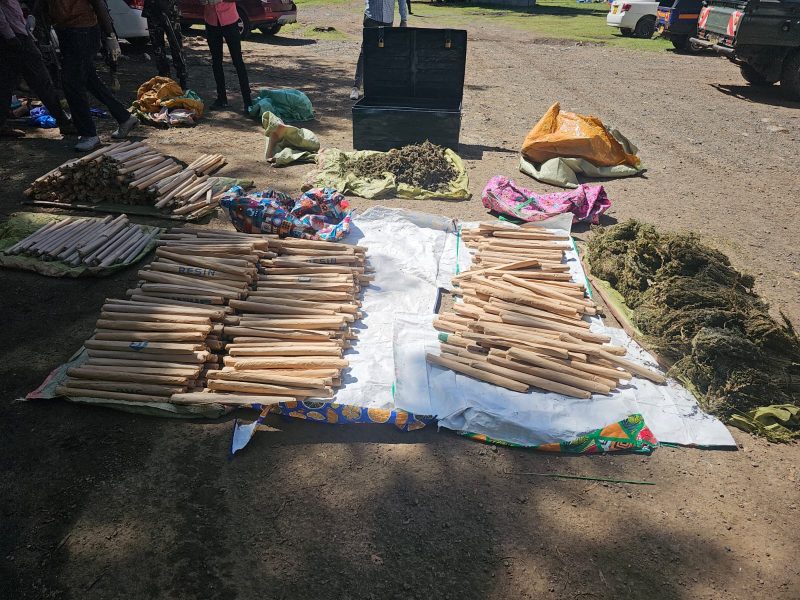 Notorious hardcore trafficker nabbed again, bhang worth millions seized near school