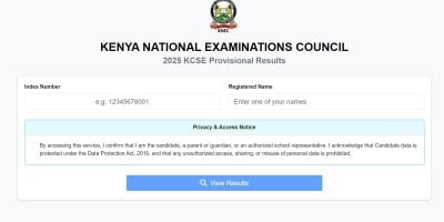 KCSE 2025: How to check your results after KNEC portal goes live