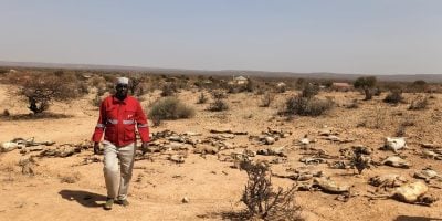 Govt Releases Sh1.8bn To Shield 133,000 Drought-Hit Families Under Hunger Safety Net