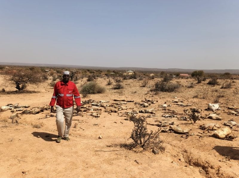 Kindiki to Chair National El Niño Preparedness Committee