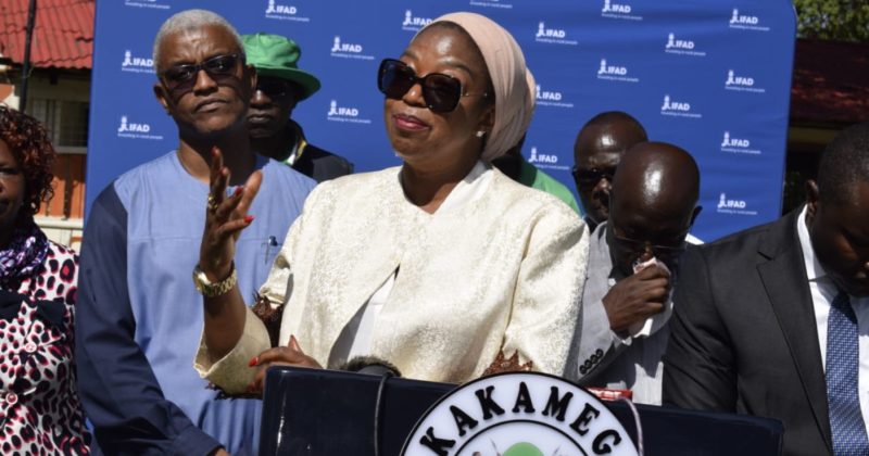 40,000 farmers get Sh645mn boost in EU-backed soil health, agroecology push