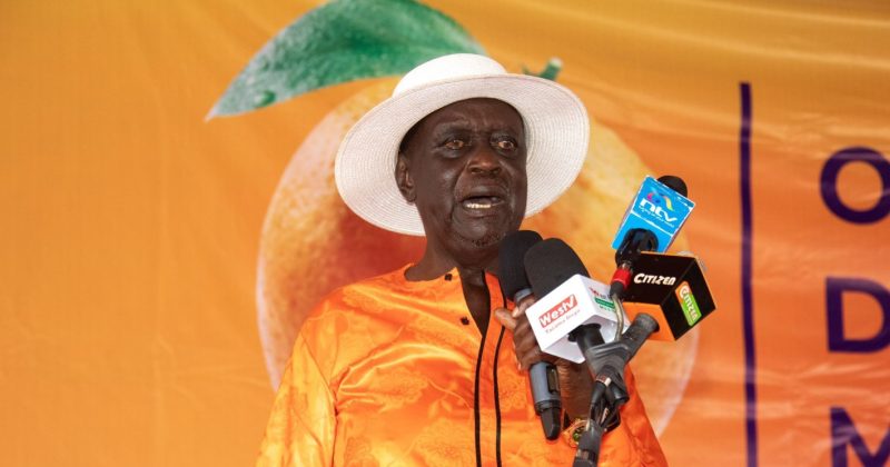 Oburu: ODM to prioritise UDA talks, solo 2027 bid last option