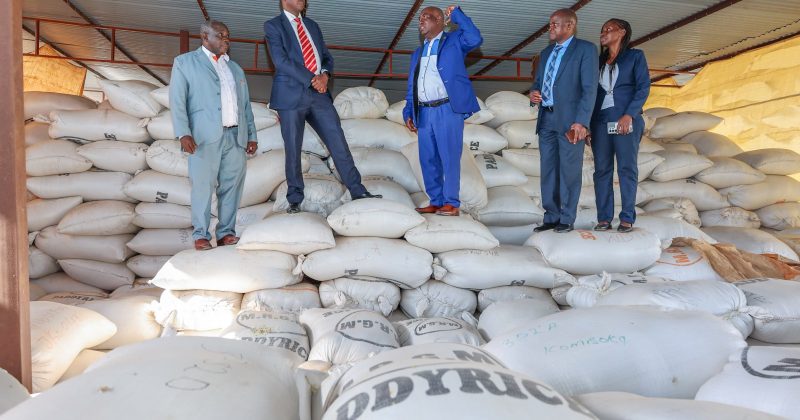 High Court Orders Immediate Release of Duty-Free Rice Imports in Landmark Food Security Ruling