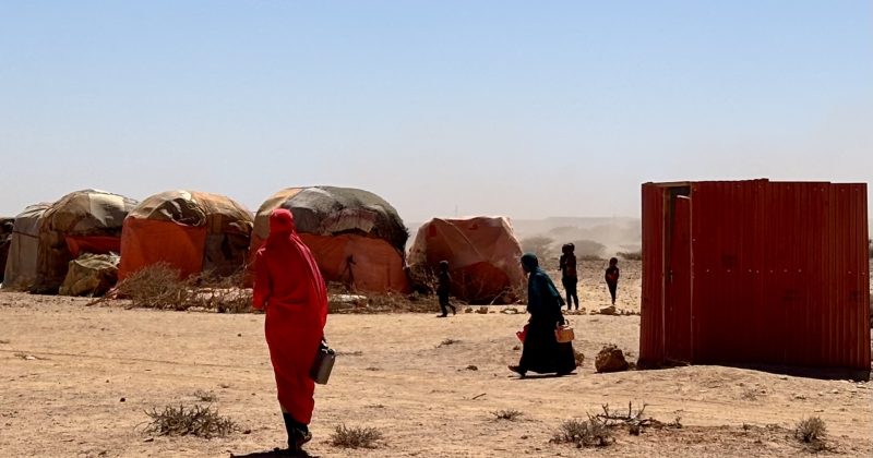 US resumes WFP food aid in Somalia after Mogadishu admits fault