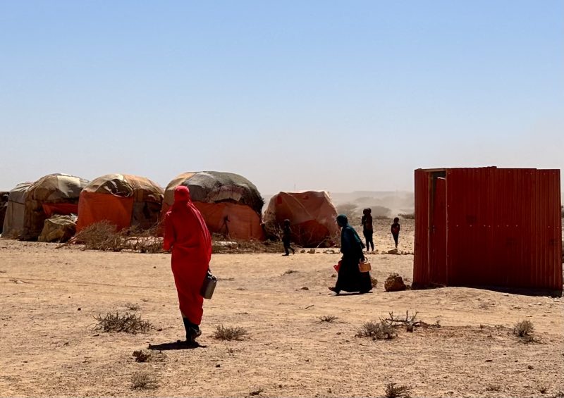 US resumes WFP food aid in Somalia after Mogadishu admits fault