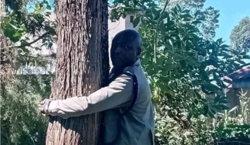 Kericho OCS taken for medical check after tree-hugging incident at station