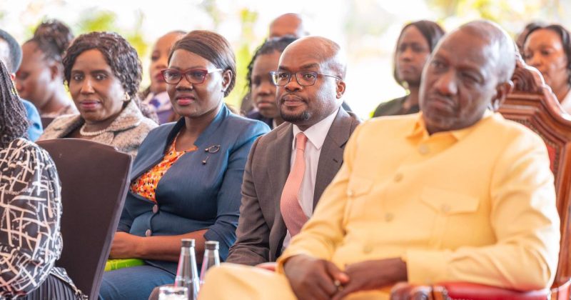GBV Technical Team Urges Treasury to Ring-Fence Sh50 Billion for Femicide Response