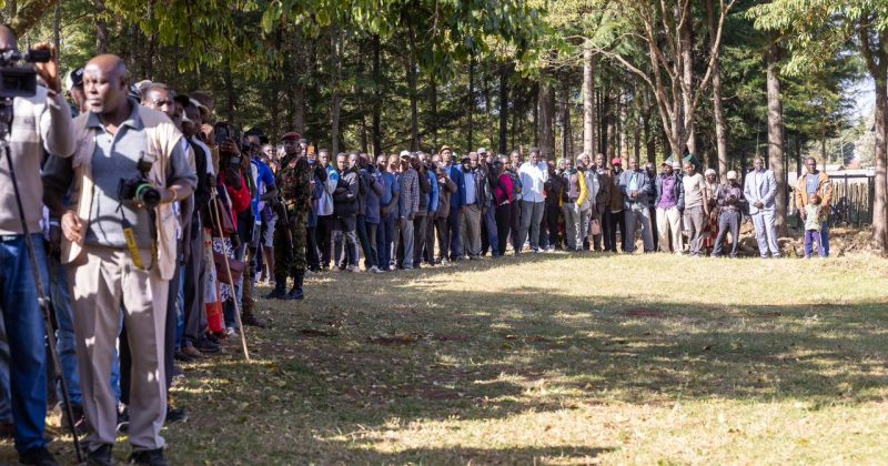 UDA Grassroots Elections Underway in 20 Counties Including Nyeri, Uasin Gishu
