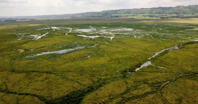 Kenya launches fresh push to save Lake Ol’Bolossat as water levels hit critical lows
