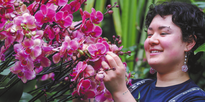 China-themed Orchid Festival blooms at Kew Gardens in celebration of culture and biodiversity