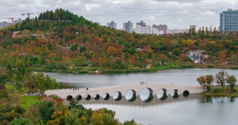 China reports best air quality on record during 14th Five-Year Plan as PM2.5 falls 20pc