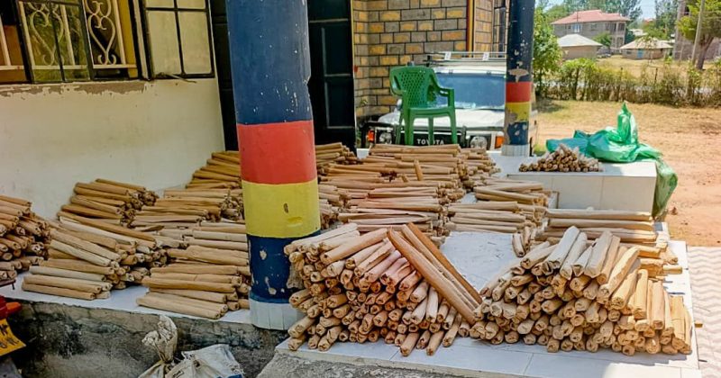 Six Men Charged Over Alleged Preparation to Commit Felony in Homa Bay