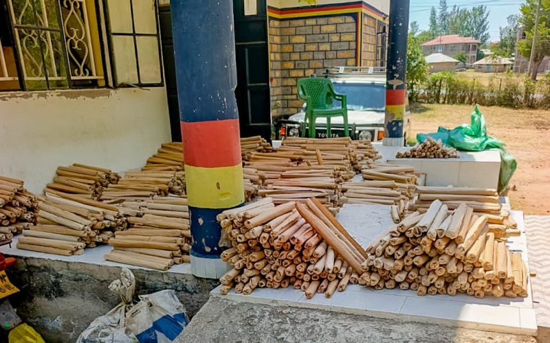 Six Men Charged Over Alleged Preparation to Commit Felony in Homa Bay