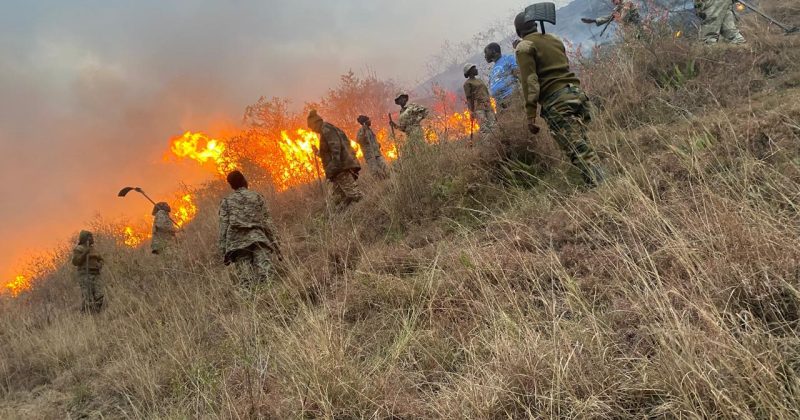 Fire at Lake Nakuru National Park contained after 6-hour operation
