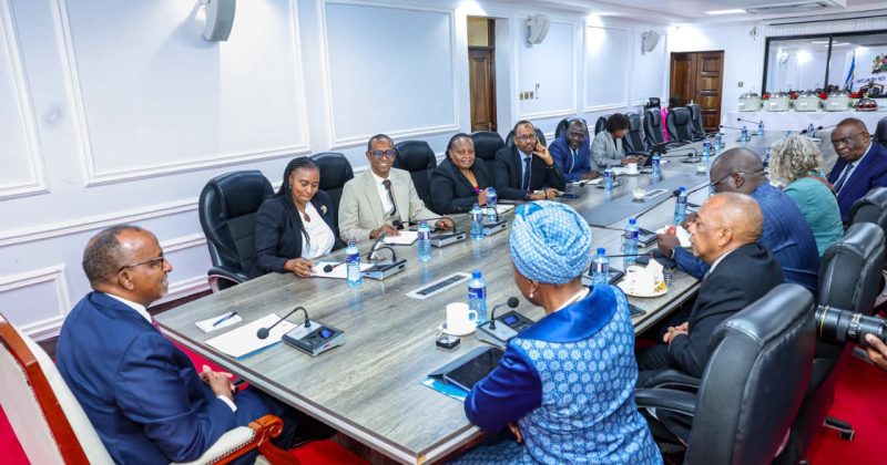 Kenya reaffirms commitment to slash Malaria cases by 80 per cent by 2028