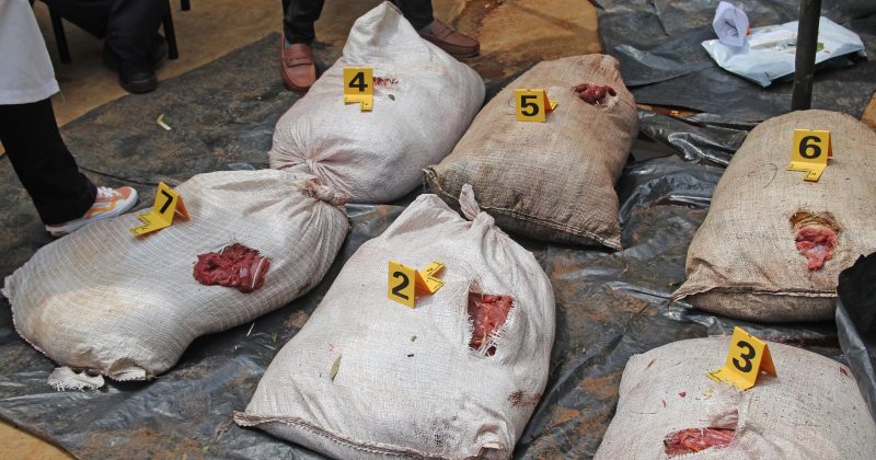 KWS seizes 2,000kg of bushmeat including suspected Zebra meat in Kiambu and Nairobi