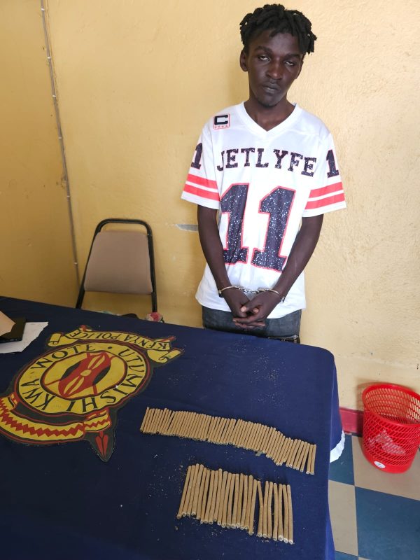 NACADA Seizes Massive Cannabis Cache in Naivasha, Vows War on Kingpins