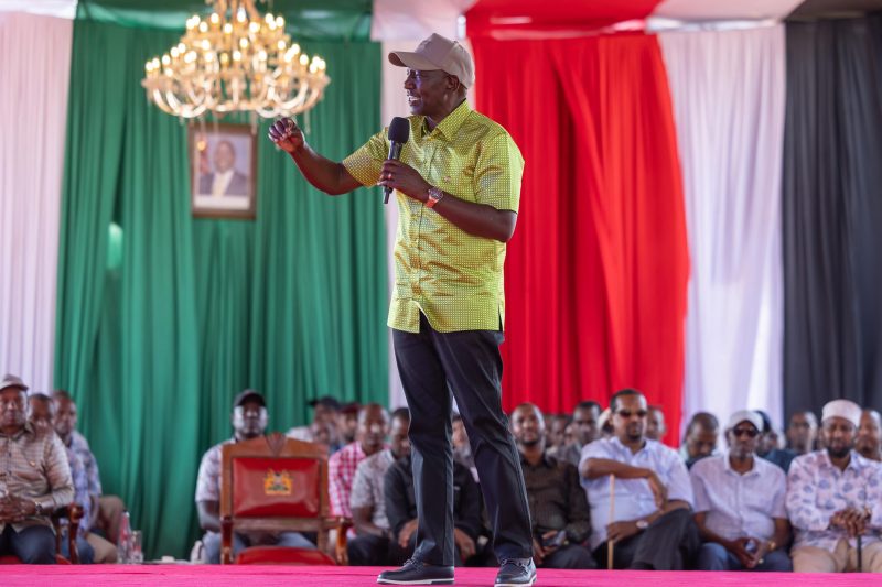 Ruto dismisses critics as ‘noisemakers and vision-less’