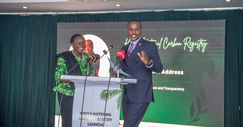 Kenya Launches National Carbon Registry to Transform Carbon Markets