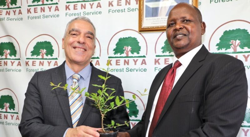 KFS, Israel explore partnership to boost dryland forestry training