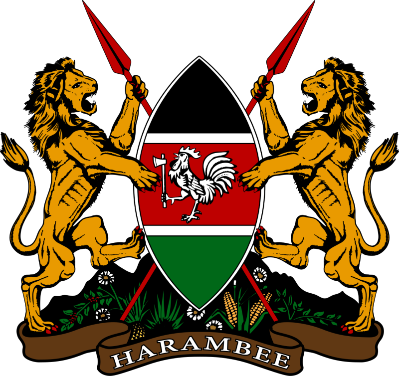 Kenya Embassy in Moscow Warns Citizens Against Informal Job Recruitment to Russia