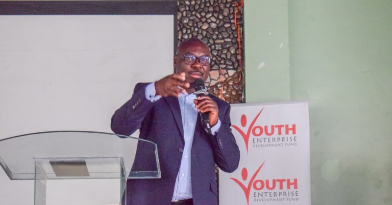 Youth Fund Offers Up to Sh2mn Loans to Boost Youth Agribusiness in Nakuru