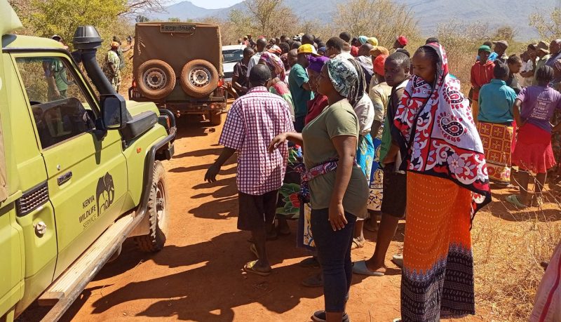 Residents move to evict KWS officers from social hall as rogue jumbo kills 2 people in weeks