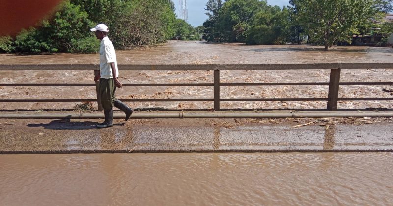 Flood alert: Govt lists Kisumu, Tana River and Uasin Gishu among counties at risk