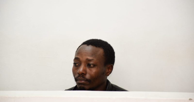 DPP Arraigns Man for Supplying Live Garden Ants to Foreigners