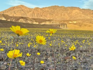 Earth records hottest 11-year period as climate crisis deepens: WMO