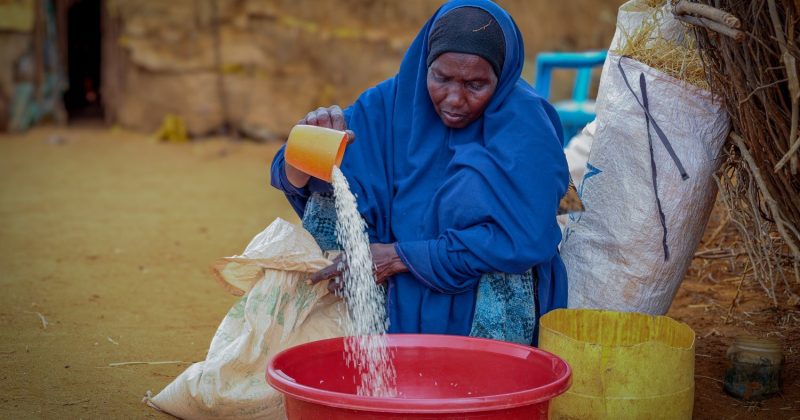 UN Spent Sh 59.5 bn on Development Programmes in Kenya in 2025 – Report