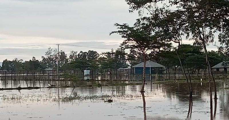 Health PS Warns Long Rains Could Trigger Cholera, Malaria Outbreaks