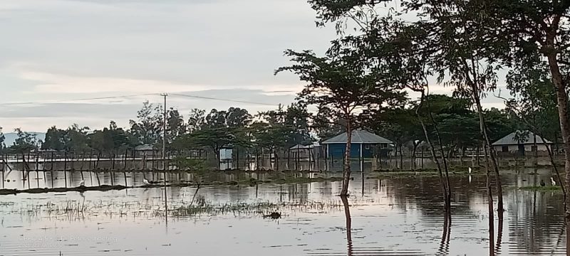 Health PS Warns Long Rains Could Trigger Cholera, Malaria Outbreaks